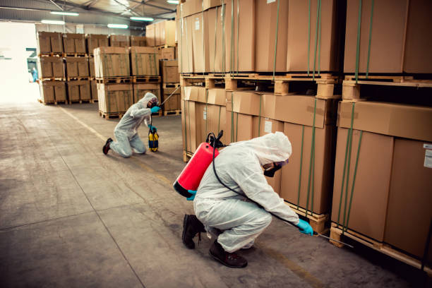 Professional Pest Control in Discovery Harbour, HI
