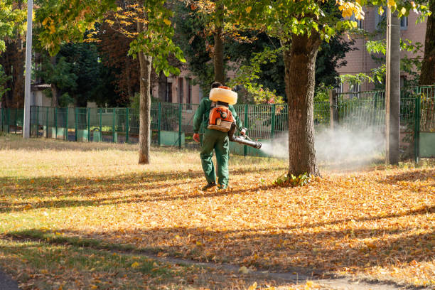 Pest Control for Restaurants in Discovery Harbour, HI